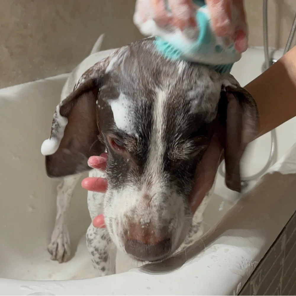 Silicone Bath Brush with Build in Container